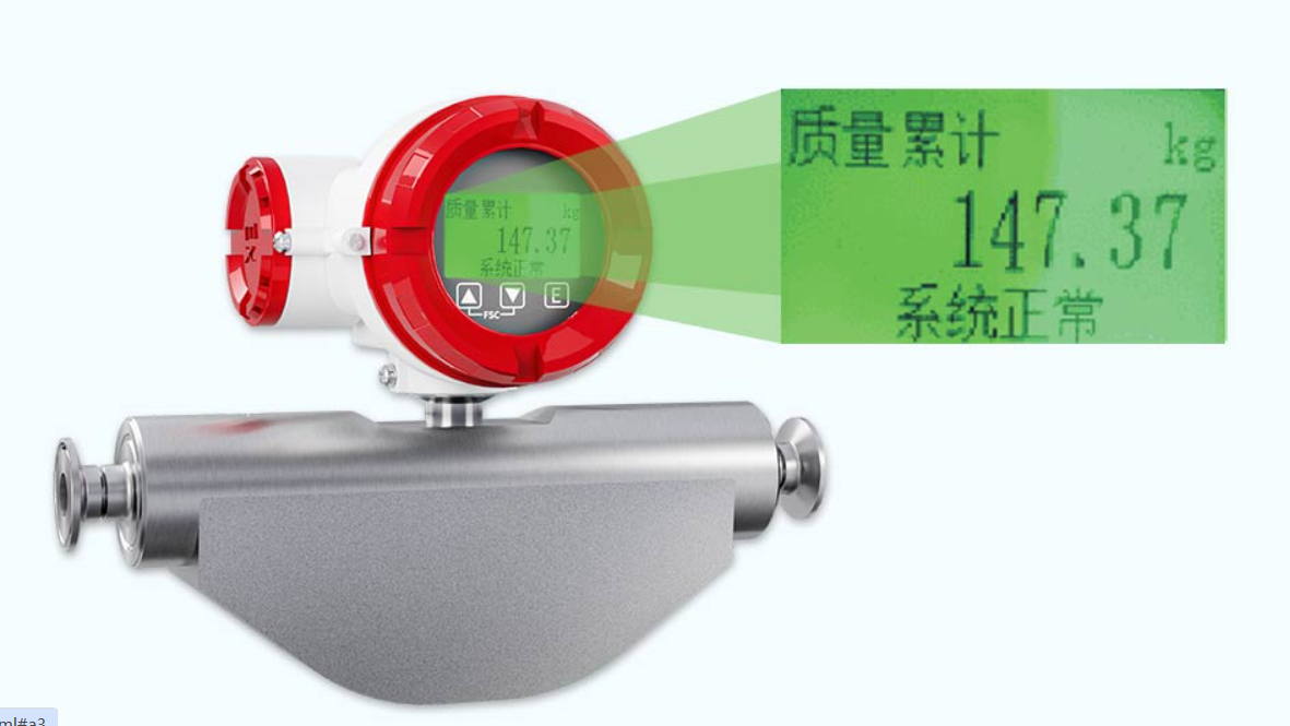 小流量質(zhì)量流量計哪家好?